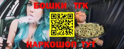 индика Ливны