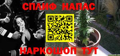 индика Ливны