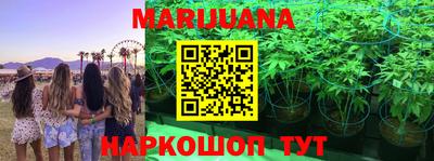 индика Ливны