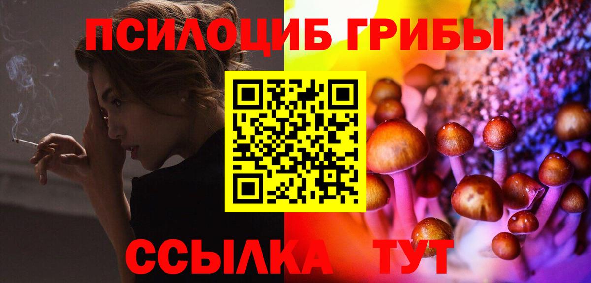 Галлюциногенные грибы Psilocybine cubensis  Вход с VPN  Урай 